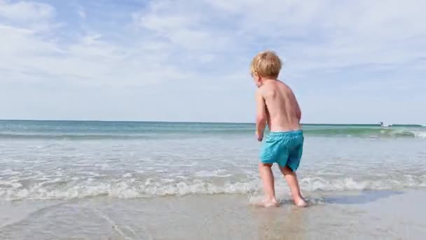 Happy Little Blond Boy Sand Beach — Video