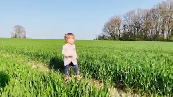 Bonito Menina Dois Anos Idade Vestido Executado Campo Primavera Fresca — Vídeo de Stock