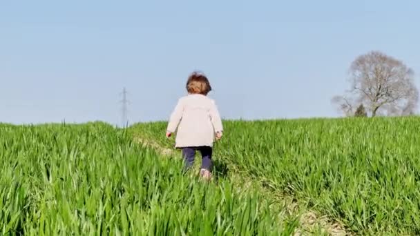 Cute Two Years Old Girl Dress Run Fresh Spring Field — Stock Video