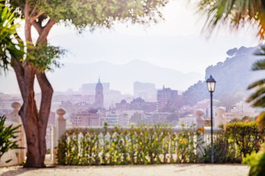 Şehir merkezinin gün doğumu manzarası ve balkondan Malaga katedrali, palmiye yaprakları çerçevesi, Endülüs, İspanya