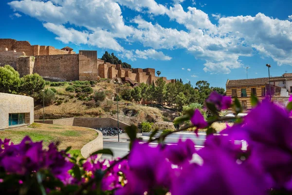 ムスリムが支配するアル アンダルス時代に建てられた紫の花を通して マラガのアルカサバ要塞の壁 — ストック写真