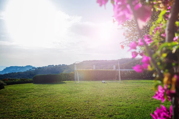Portões Futebol Estão Altos Jardim Cercados Pelo Campo Verde Exuberante — Fotografia de Stock