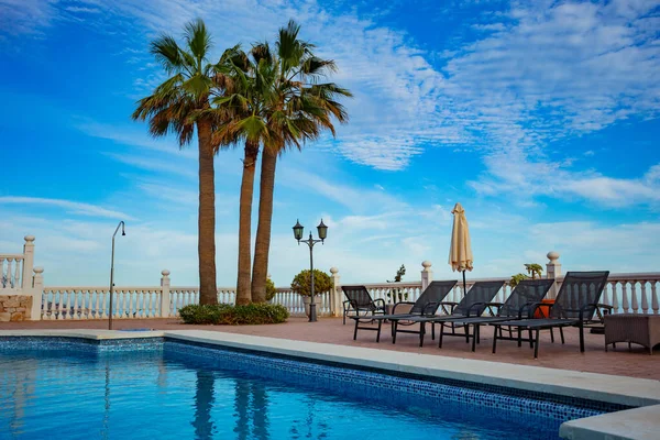 三棵棕榈树伸向晴朗的蓝天 它们都是在一个闪闪发光的游泳池边放着阳光的游廊 享受着完美的度假体验 — 图库照片