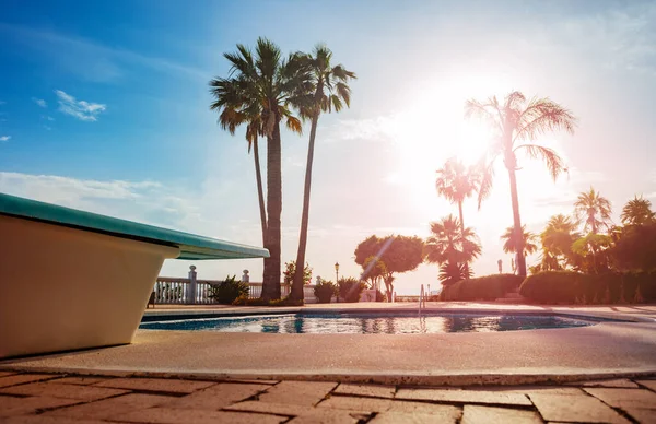 炎热的夏日 在温暖的阳光下 透过南棕榈树 在开放的游泳池上方的跳水板的特写 — 图库照片