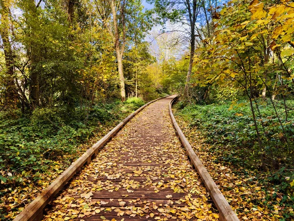 Wooden pathway in the forest covered with autumn leaves on sunny fall day
