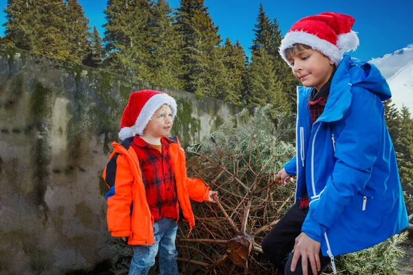 Två Glada Små Pojkar Bröder Santa Hattar Och Vinter Outfit — Stockfoto