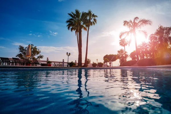 室外游泳池水 阳光透过棕榈树 栏杆躺椅照射在温暖的落日下 — 图库照片