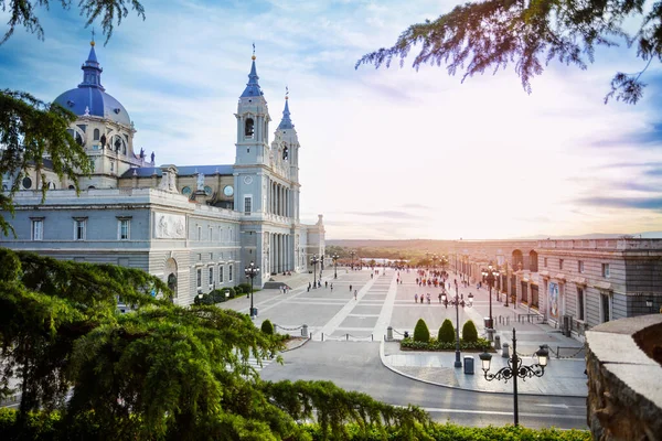 Uitzicht Door Gebladerte Almudena Kathedraal Van Larra Garden Plaza Armeria — Stockfoto