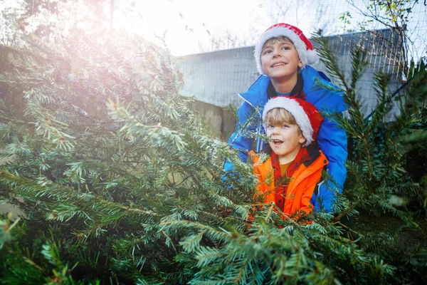 Noel Baba Şapkalı Kışlık Kıyafetli Iki Mutlu Çocuğun Yakın Plan — Stok fotoğraf