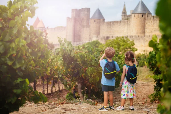 ブドウ畑に立っているバックパックを持つ幸せな子供たちは フランス オシタニアの壮大なカルカソンヌフランス要塞都市を探索する準備ができて城の塔を指し — ストック写真