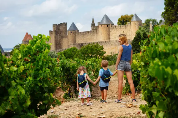 Çocuklu Anne Mutlu Turistler Üzüm Bağında Ayakta Dikilip Carcassonne Bakıyorlar — Stok fotoğraf