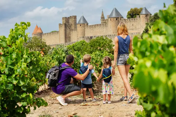 緑のブドウ畑に立っている小さな子供を持つ家族は フランスのオシタニアのカルカソンヌフランス要塞都市の有名な中世のサイトを一緒に訪問する準備ができて — ストック写真