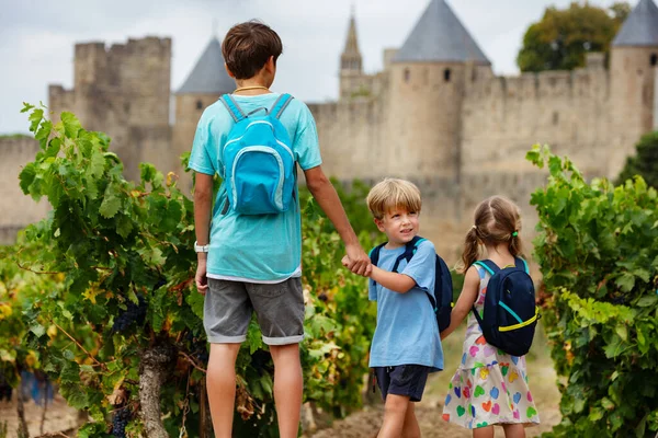 孩子们在他们的家庭暑假旅行中 欣赏着著名的卡卡松城墙 法国中部城市里的一座坚固的中世纪城市 — 图库照片