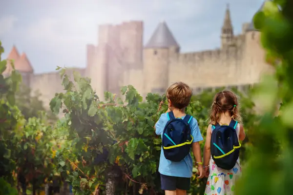 ブドウ園に立っているバックパックを持つ小さな子供たちは フランス オシタニア フランス 夏休みのコンセプト 背後から見た壮大なカルカソンヌフランスの要塞化された都市を見ています — ストック写真