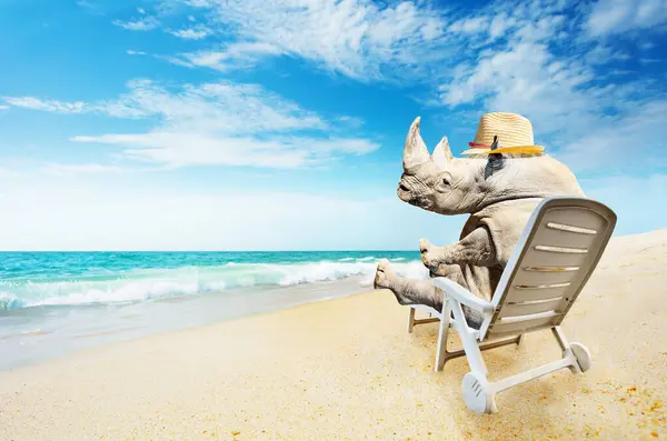 Носороги Сидящие Песочном Кресле Песчаном Пляже Отдыхающие Шляпе Концепция Путешествия — стоковое фото