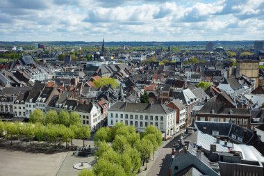Maastricht 'in eski bir şehir manzarasının yüksek açılı görüntüsü klasik mimari ve yeşillik ağaçlarıyla dolu.