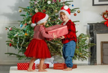 İki neşeli çocuk, Noel Baba şapkalı kız ve erkek güzel bir Noel ağacının önünde paketlenmiş bir hediyeyi paylaşıyorlar.