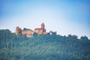 Yoğun ormanlık bir tepenin üzerinde, berrak mavi bir gökyüzü tarafından çerçevelenmiş tarihi bir kale duruyor.