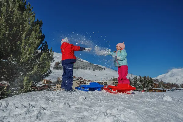 Komik kardeşler kış tatillerinde kayak merkezinde tepenin üstünde kartopu savaşı yaparlar.