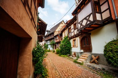 Tarihi bir köydeki pitoresk bir ara sokakta kereste çerçeveli mimari, canlı çiçekler, yemyeşil sarmaşıklar, Eguisheim Fransa 'sında dingin ve zamansız bir atmosfer yaratıyor.