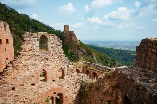 Yoğun ormanlarla çevrili taştan bir şatonun kalıntıları kayalık bir tepenin üzerinde, kırsal bir panorama ve ötesinde bir köy sunuyor.