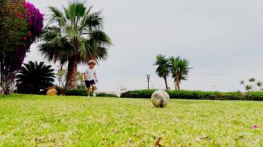 Küçük bir çocuk çimlere doğru koşuyor, bir futbol topuna doğru, etrafı palmiye ağaçlarıyla çevrili güneşli çimlerle çevrili