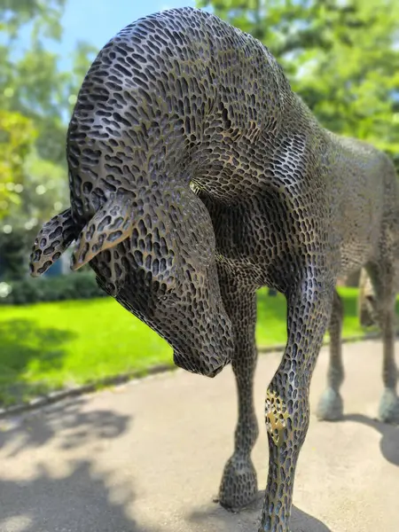 stock image bronze horse statue in the central park of Pilsen, Czech Republic