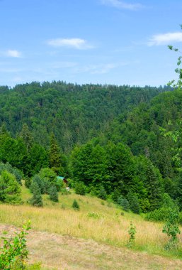 Bu büyüleyici fotoğraf, Tara Dağı 'nın dingin güzelliğini sergiliyor. Yoğun bir ormana kusursuz bir şekilde karışan yemyeşil bir çayırın resmini çekiyor. Çayırın canlı yeşilliği zarifçe uzanırken görkemli ormanlar...