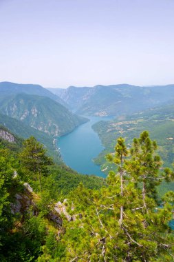 Doğanın Mücevheri: Perucac Gölü, Banjska Stena 'nın Tara Dağı' nın nefes kesici cazibesini gözler önüne sererken huzur dolu sükuneti yansıtıyor.