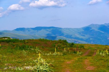 Kendinizi, görkemli dağ zirvelerinin gökyüzüne değdiği, bereketli vadilerin sükunetle beşiği ve büyüleyici ormanların manzarayı harikaların renkleriyle boyadığı doğanın nefes kesici senfonisine daldırın.