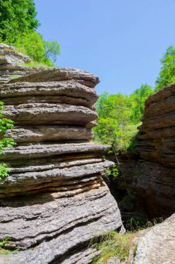 Stara Planina 'daki Rosomaca Kanyonu' nu keşfedin. Rosomaca Nehri tarafından yontulmuş nefes kesici bir doğa olayı. Şelaleleri ve eşsiz kaya oluşumlarını keşfedin.