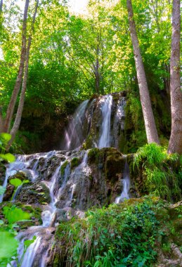 Doğanın sanatının nefes kesen turkuaz renkli gölleri ortaya çıkardığı büyülü bir orman şelalesi dünyasına atılın. Kendini bu büyüleyici çağlayanların dingin güzelliğine daldır ve hayal gücünün kristal berrak sularda sürüklenmesine izin ver.