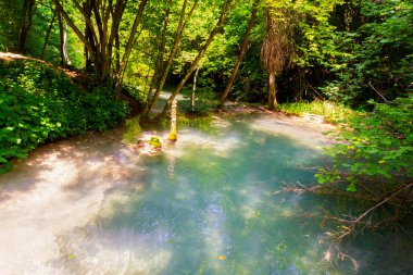 Doğanın sanatının nefes kesen turkuaz renkli gölleri ortaya çıkardığı büyülü bir orman şelalesi dünyasına atılın. Kendini bu büyüleyici çağlayanların dingin güzelliğine daldır ve hayal gücünün kristal berrak sularda sürüklenmesine izin ver.