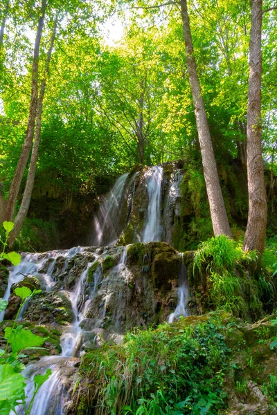 Aventúrate Mundo Mágico Cascadas Forestales Donde Arte Naturaleza Descubre Impresionantes —  Fotos de Stock