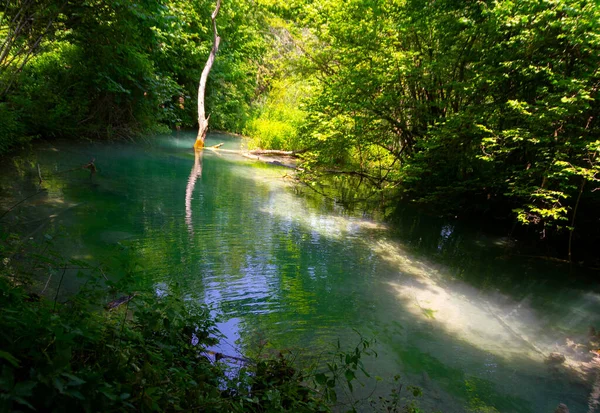 Dig Magisk Värld Skogsvattenfall Där Naturens Konstnärskap Avslöjar Hisnande Turkosfärgade — Stockfoto