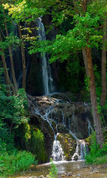 Tauchen Sie Ein Eine Magische Welt Der Waldwasserfälle Der Die — Stockfoto