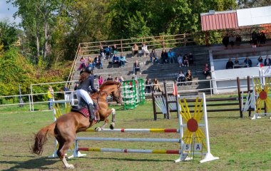 Binici ve at binicisi bir yarışma sırasında engellerin üzerinden atlıyor, atletizm ve hassasiyet sergiliyor.