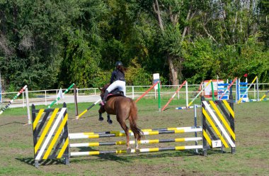 Equestrian rider and horse jumping over hurdles during a competition, showcasing athleticism and precision. clipart