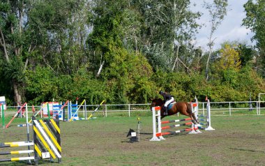 Equestrian rider and horse jumping over hurdles during a competition, showcasing athleticism and precision. clipart