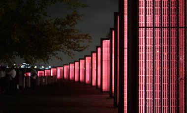 Parktaki kırmızı ışıkların gece manzarası                               