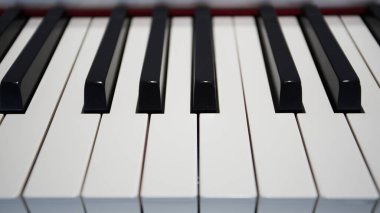 Piyano siyah ve beyaz renk tuşları çalıyor                               