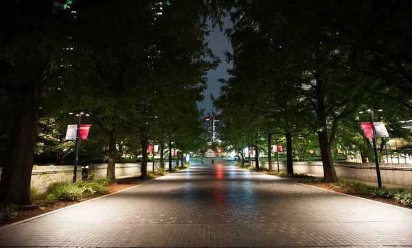 Night View City Street Trees — Stock Photo, Image