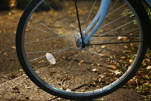 街の路上で地面に自転車のフロントタイヤ — ストック写真