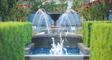 The spray of the fountain of the park and red flower                               
