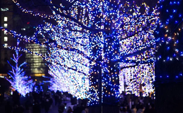 Iluminação Árvore Natal Rua Cidade Temporada Inverno — Fotografia de Stock
