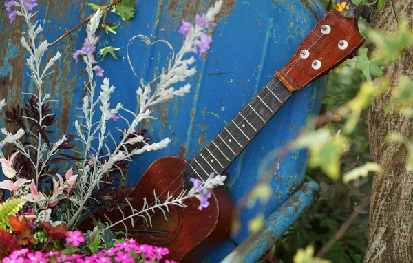 Régi Gitár Hangszer Zöld Virágok Tavaszi Kertben — Stock Fotó