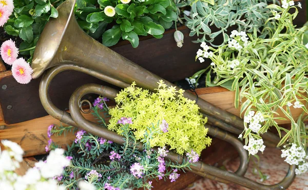 庭に花や草を持つ古いトランペット — ストック写真