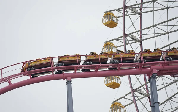 Passeio Parque Diversões Ferris Wheel Roller Coaster Building Imagens De Bancos De Imagens Sem Royalties