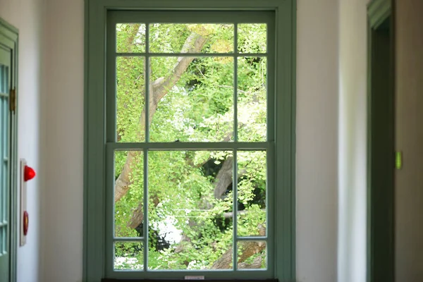 Grün Aus Dem Fenster Des Zimmers Gesehen — Stockfoto