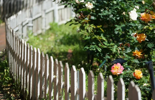 Clôture Incurvée Dans Lit Fleurs Jardin Jour Ensoleillé — Photo